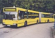 Mercedes O 405 GN Gelenkbus EVAG Essen